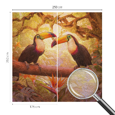 Dekoratív fotótapéta nappaliba Színes tukánok