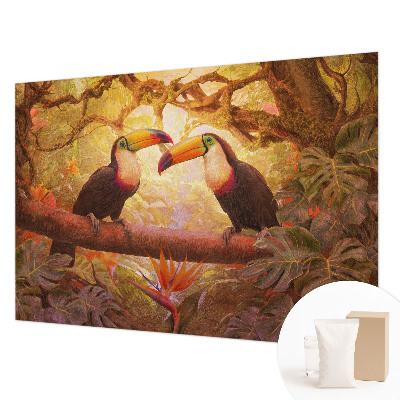 Dekoratív fotótapéta nappaliba Színes tukánok