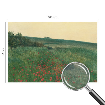 Flíz fotótapéta Pipacsföldek