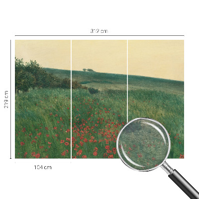 Flíz fotótapéta Pipacsföldek