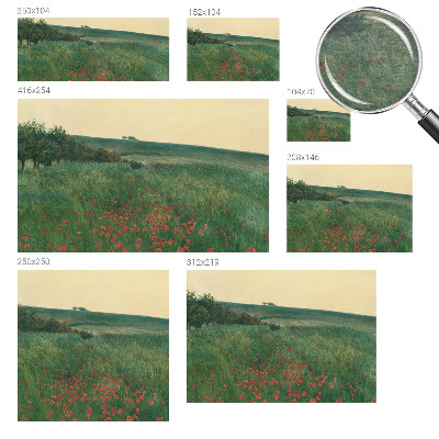 Flíz fotótapéta Pipacsföldek