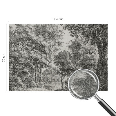 Nyomtatott vlies fotótapéta Erdei táj