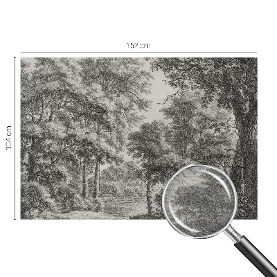 Nyomtatott vlies fotótapéta Erdei táj