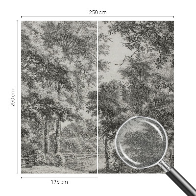 Nyomtatott vlies fotótapéta Erdei táj