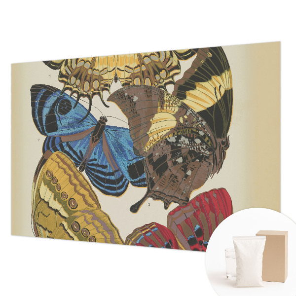 Kép tapéta Pillangók inspirációja