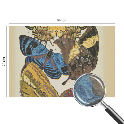 Kép tapéta Pillangók inspirációja