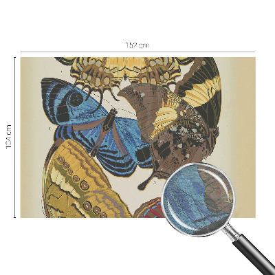 Kép tapéta Pillangók inspirációja