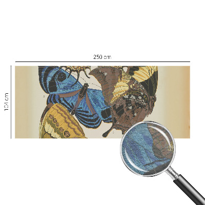 Kép tapéta Pillangók inspirációja