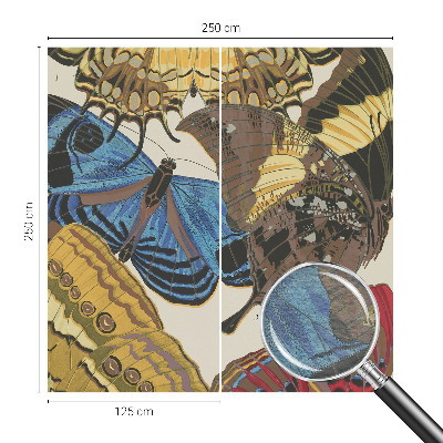 Kép tapéta Pillangók inspirációja