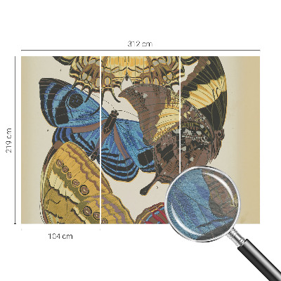 Kép tapéta Pillangók inspirációja