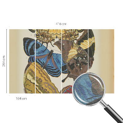 Kép tapéta Pillangók inspirációja