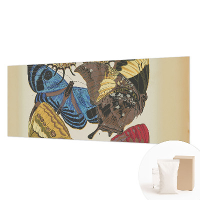 Kép tapéta Pillangók inspirációja