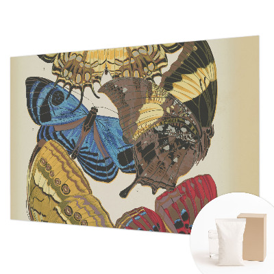 Kép tapéta Pillangók inspirációja