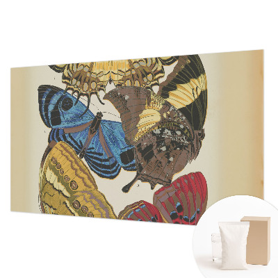 Kép tapéta Pillangók inspirációja