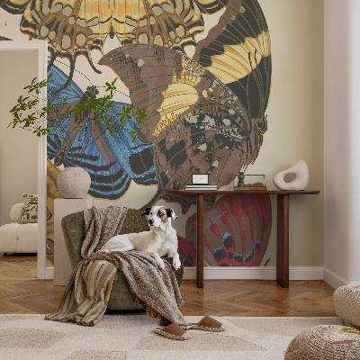 Kép tapéta Pillangók inspirációja