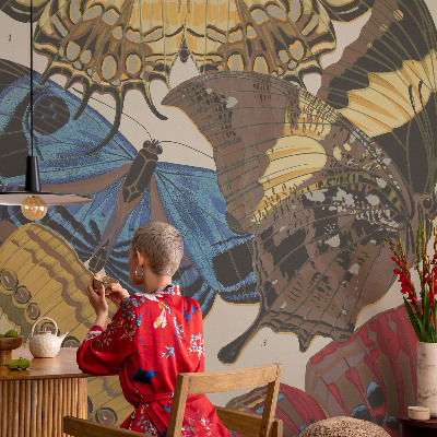 Kép tapéta Pillangók inspirációja