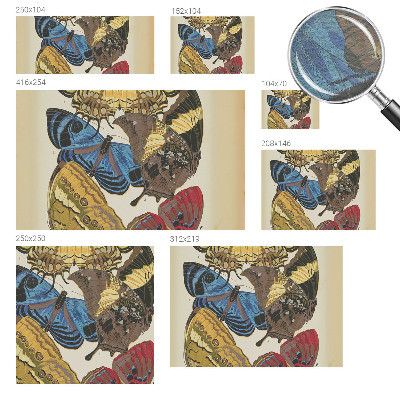 Kép tapéta Pillangók inspirációja