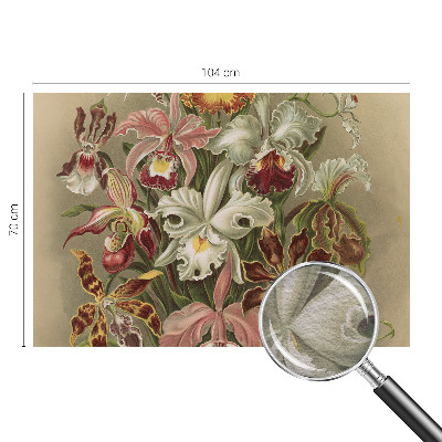 Óriás fotótapéta Virágos elegancia