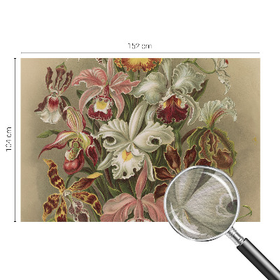 Óriás fotótapéta Virágos elegancia