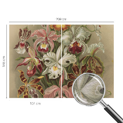 Óriás fotótapéta Virágos elegancia