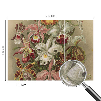 Óriás fotótapéta Virágos elegancia