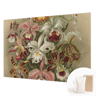 Óriás fotótapéta Virágos elegancia