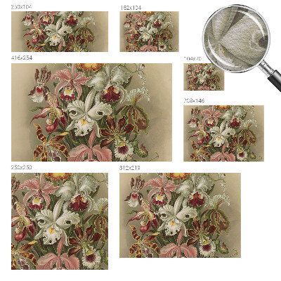 Óriás fotótapéta Virágos elegancia