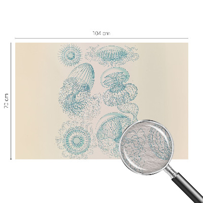 Fényképes tapéta Tengeri medúza