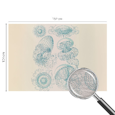 Fényképes tapéta Tengeri medúza