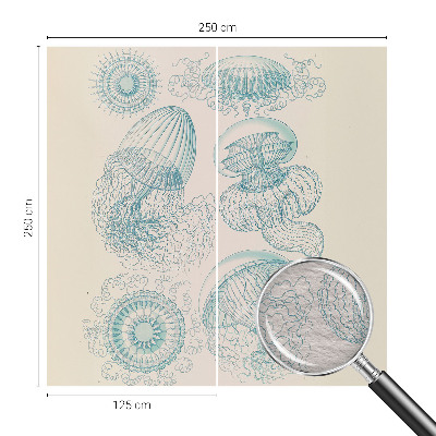 Fényképes tapéta Tengeri medúza