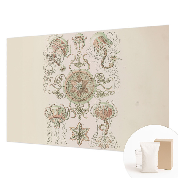 Fotó poszter tapéta Víz alatti világ