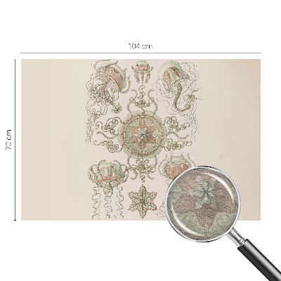 Fotó poszter tapéta Víz alatti világ