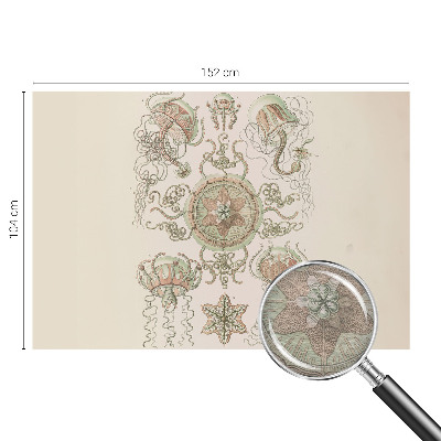 Fotó poszter tapéta Víz alatti világ