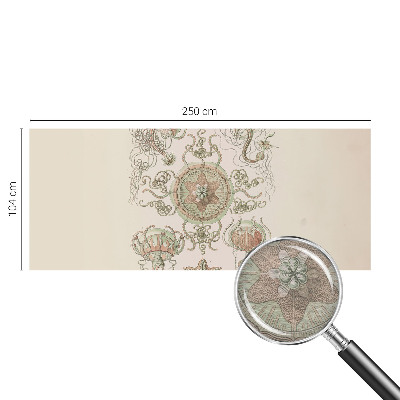 Fotó poszter tapéta Víz alatti világ