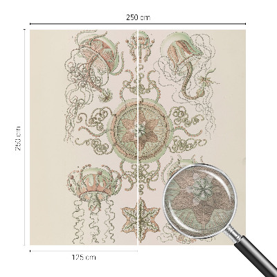 Fotó poszter tapéta Víz alatti világ