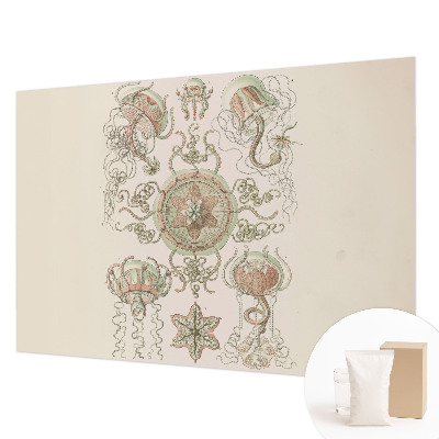 Fotó poszter tapéta Víz alatti világ