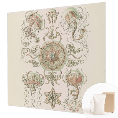 Fotó poszter tapéta Víz alatti világ