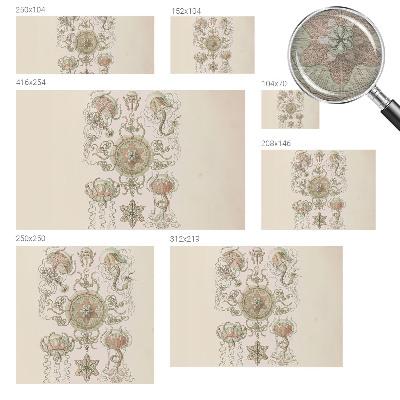 Fotó poszter tapéta Víz alatti világ