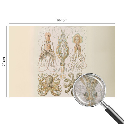 Vlies fotótapéta Tengeri élővilág