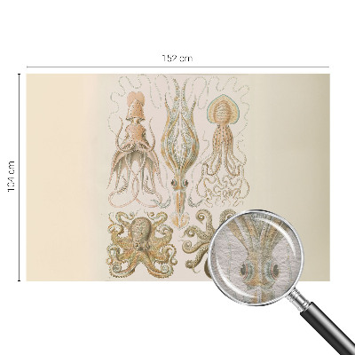 Vlies fotótapéta Tengeri élővilág