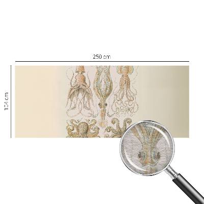 Vlies fotótapéta Tengeri élővilág