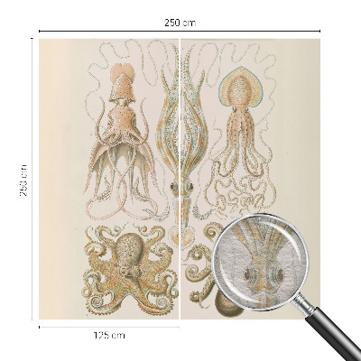 Vlies fotótapéta Tengeri élővilág