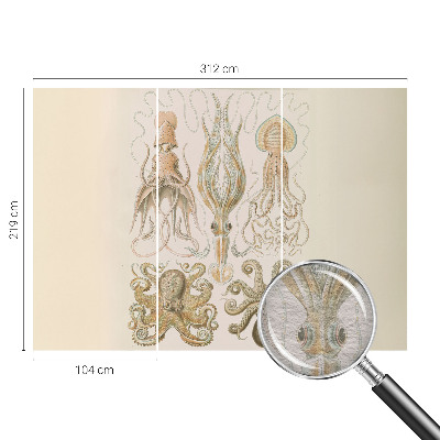 Vlies fotótapéta Tengeri élővilág