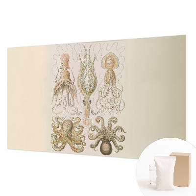 Vlies fotótapéta Tengeri élővilág