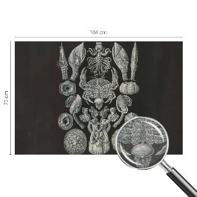 Flíz fotótapéta Víz alatti formák