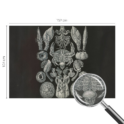 Flíz fotótapéta Víz alatti formák