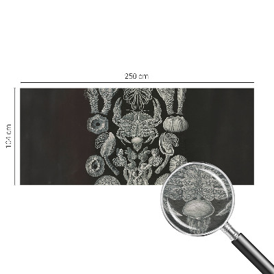 Flíz fotótapéta Víz alatti formák