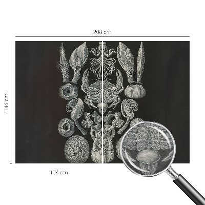 Flíz fotótapéta Víz alatti formák