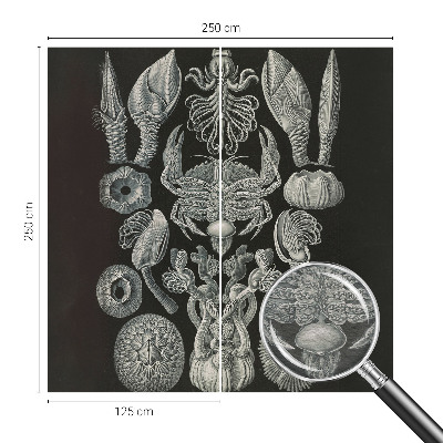 Flíz fotótapéta Víz alatti formák