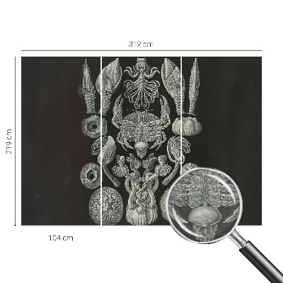 Flíz fotótapéta Víz alatti formák